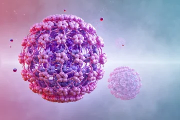 וירוס הפפילומה (HPV) – כל מה שצריך לדעת