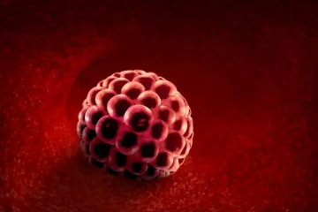 דימום השתרשות – איך מזהים, מתי הוא מופיע, ומה ההבדל ממחזור